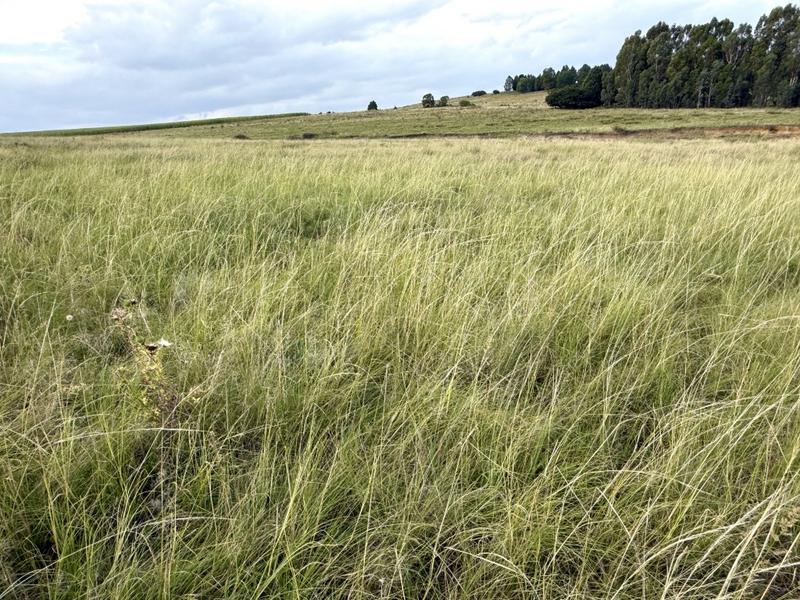 0 Bedroom Property for Sale in Harrismith Free State